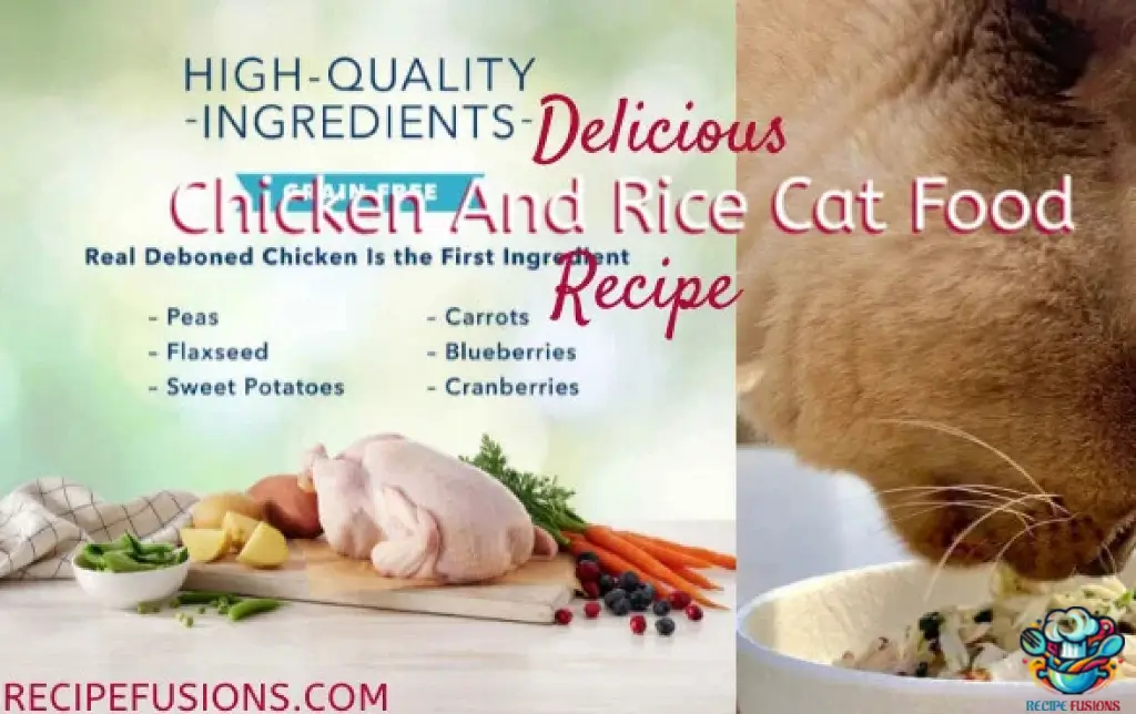 Best Chicken And Rice Cat Food Recip