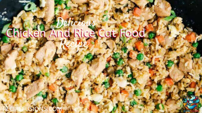 Best Chicken And Rice Cat Food Recipe