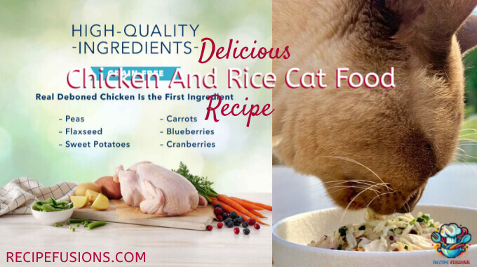 Best Chicken And Rice Cat Food Recipe