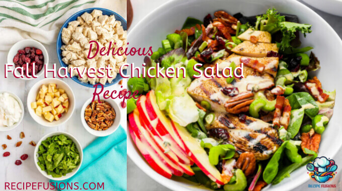 Perfect Fall Harvest Chicken Salad Recipe